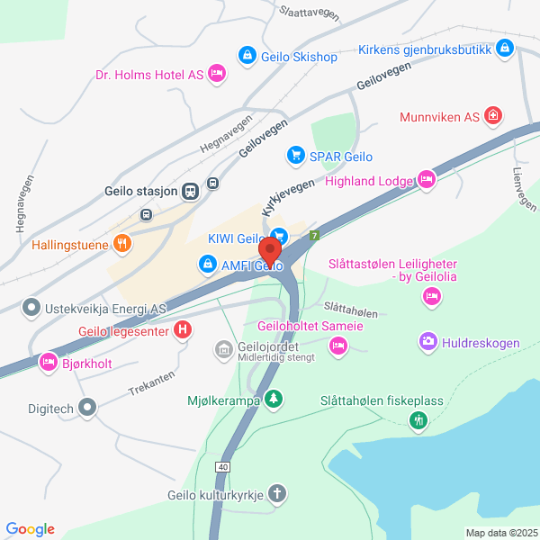 Bilde fra Google Maps, sentrert på adressen