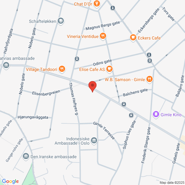 Bilde fra Google Maps, sentrert på adressen