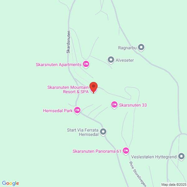 Bilde fra Google Maps, sentrert på adressen