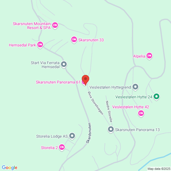 Bilde fra Google Maps, sentrert på adressen