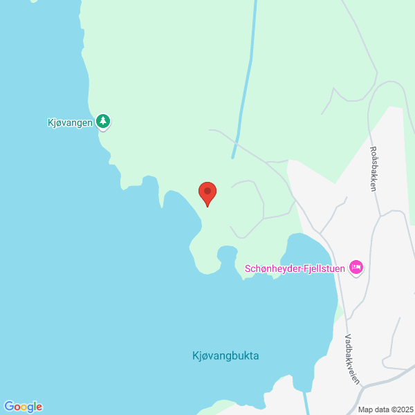 Bilde fra Google Maps, sentrert på adressen