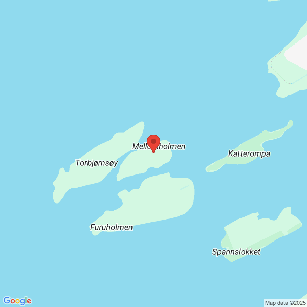 Bilde fra Google Maps, sentrert på adressen