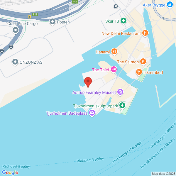 Bilde fra Google Maps, sentrert på adressen