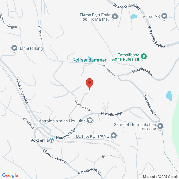 Bilde fra Google Maps, sentrert på adressen