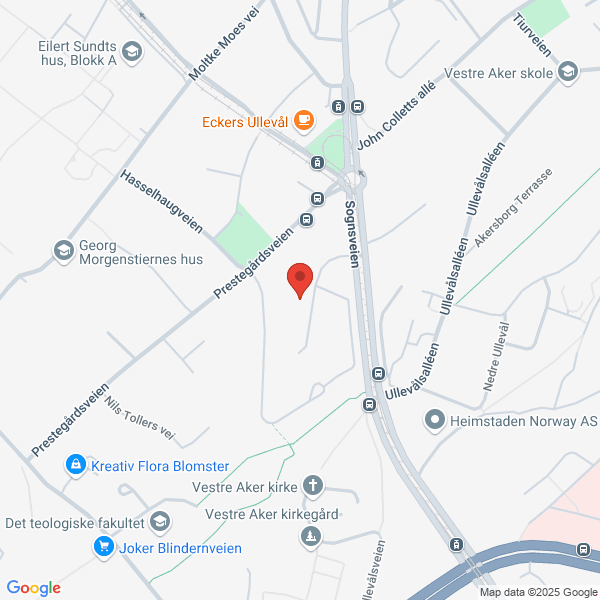 Bilde fra Google Maps, sentrert på adressen