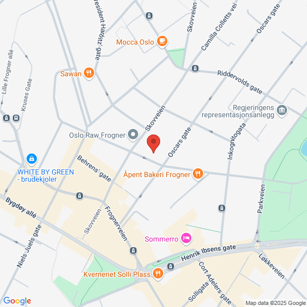 Bilde fra Google Maps, sentrert på adressen