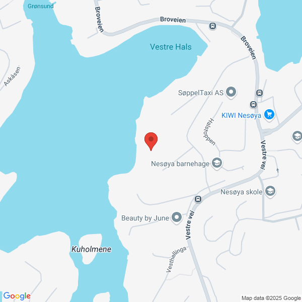 Bilde fra Google Maps, sentrert på adressen