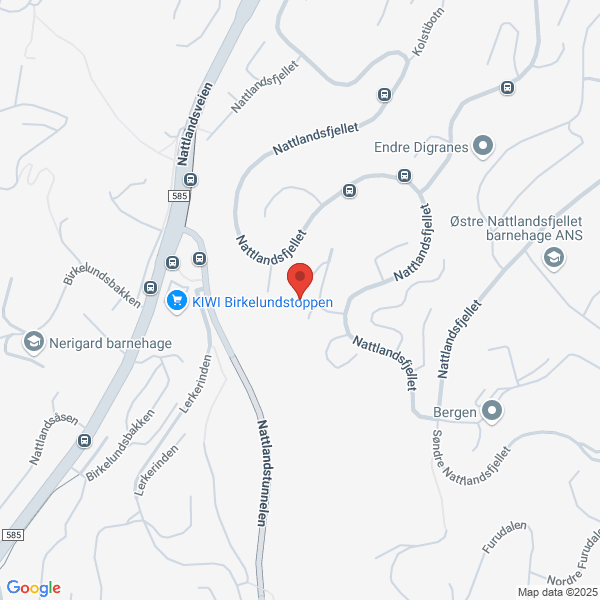 Bilde fra Google Maps, sentrert på adressen