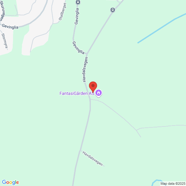 Bilde fra Google Maps, sentrert på adressen