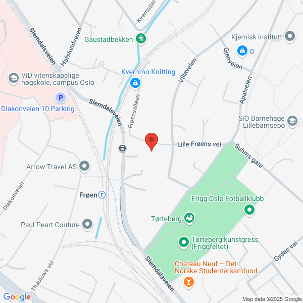 Bilde fra Google Maps, sentrert på adressen