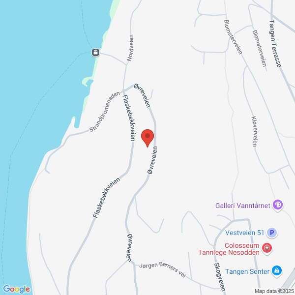 Bilde fra Google Maps, sentrert på adressen