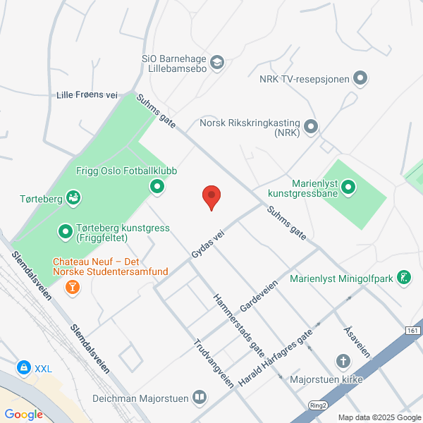 Bilde fra Google Maps, sentrert på adressen