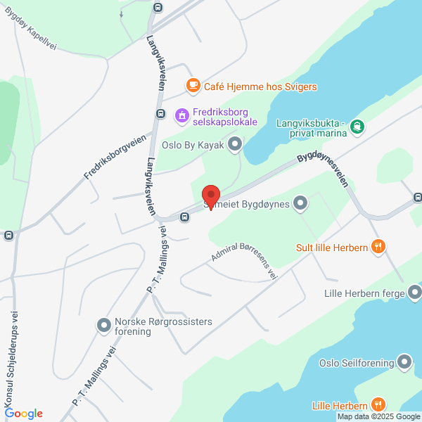 Bilde fra Google Maps, sentrert på adressen