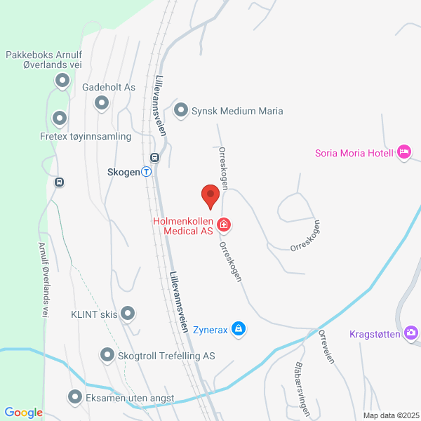 Bilde fra Google Maps, sentrert på adressen