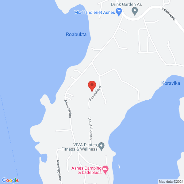 Bilde fra Google Maps, sentrert på adressen
