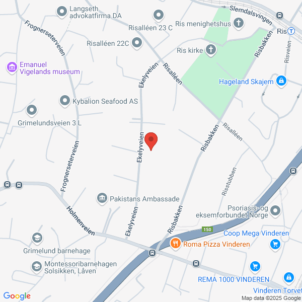 Bilde fra Google Maps, sentrert på adressen
