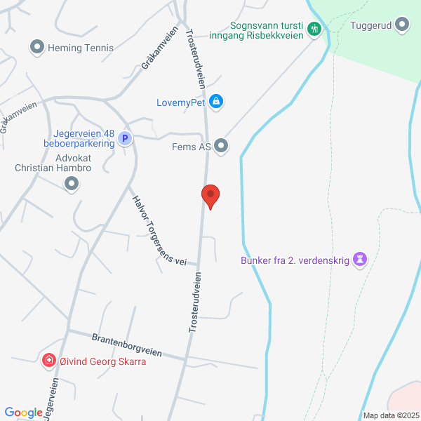Bilde fra Google Maps, sentrert på adressen