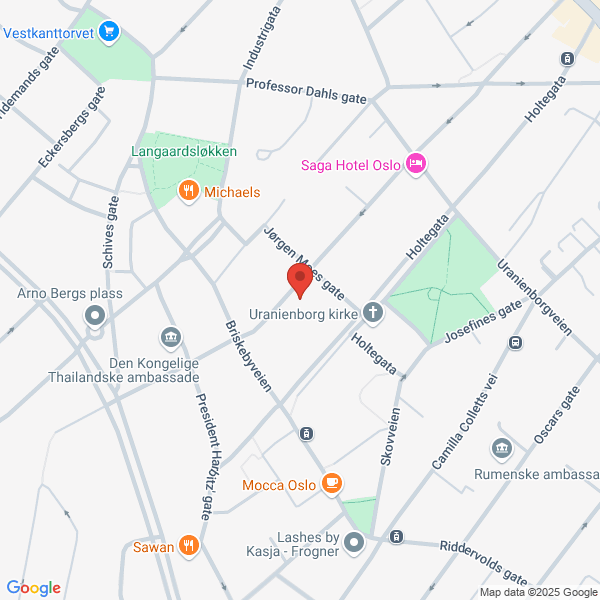 Bilde fra Google Maps, sentrert på adressen