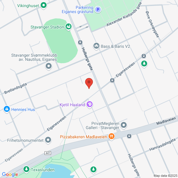 Bilde fra Google Maps, sentrert på adressen