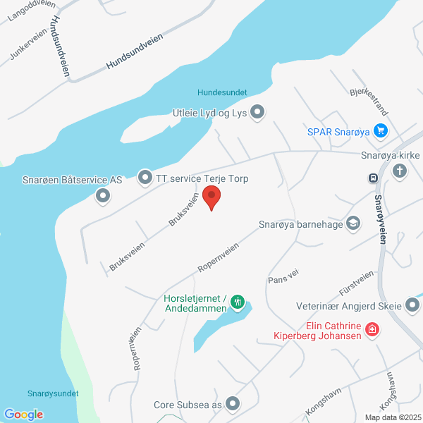 Bilde fra Google Maps, sentrert på adressen