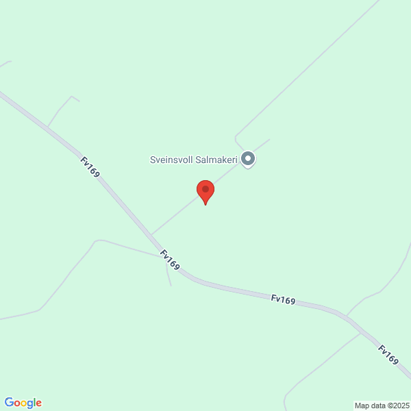 Bilde fra Google Maps, sentrert på adressen