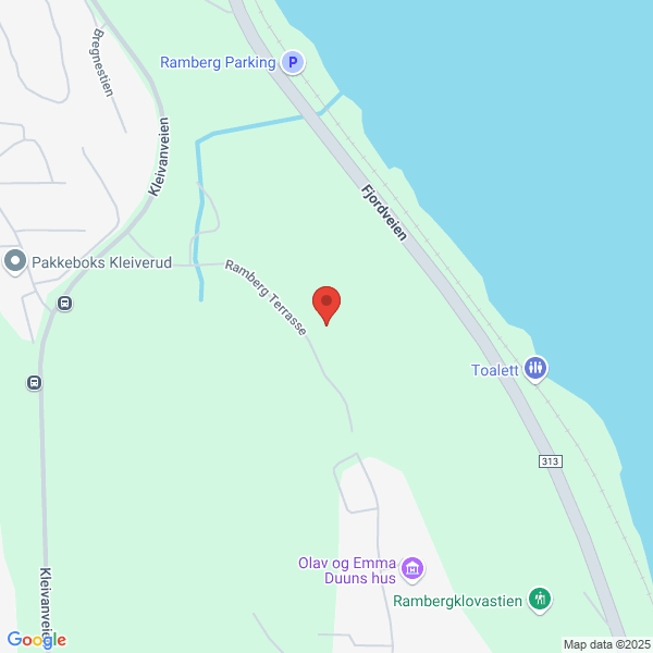 Bilde fra Google Maps, sentrert på adressen