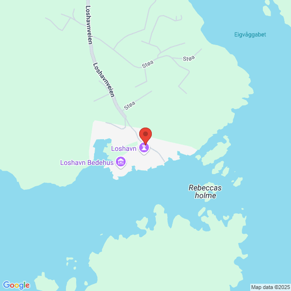 Bilde fra Google Maps, sentrert på adressen