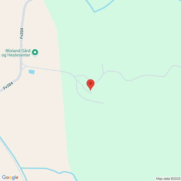 Bilde fra Google Maps, sentrert på adressen