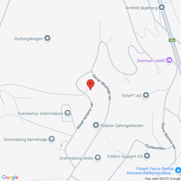 Bilde fra Google Maps, sentrert på adressen