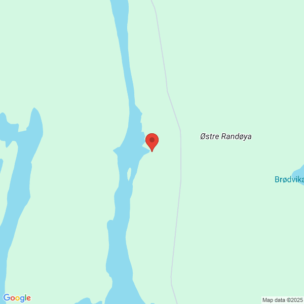 Bilde fra Google Maps, sentrert på adressen