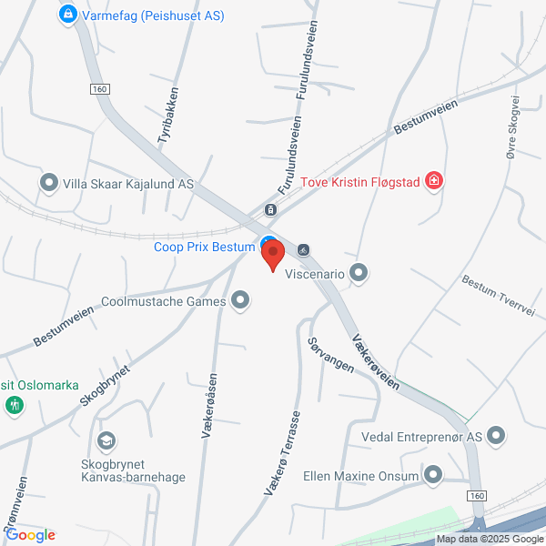 Bilde fra Google Maps, sentrert på adressen