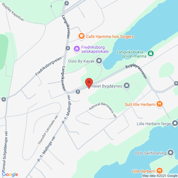 Bilde fra Google Maps, sentrert på adressen