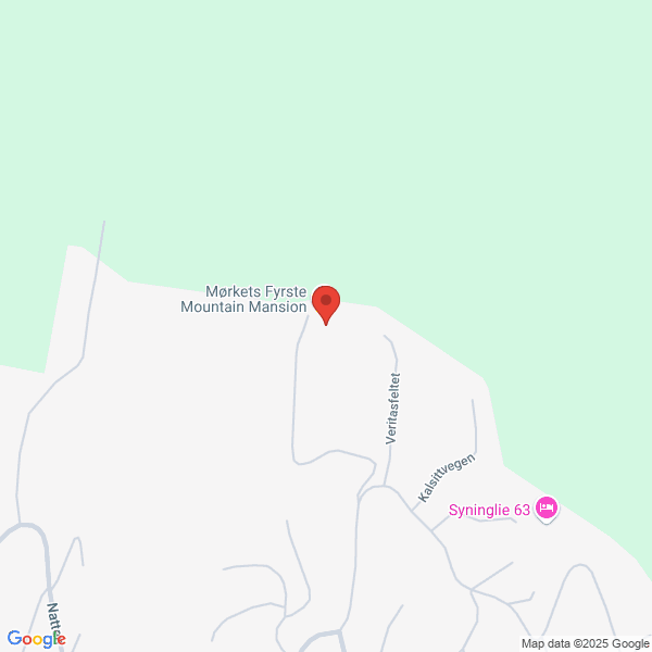 Bilde fra Google Maps, sentrert på adressen