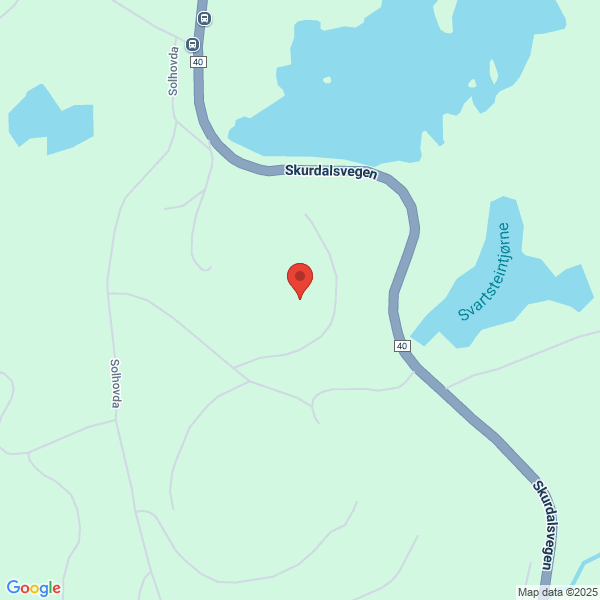 Bilde fra Google Maps, sentrert på adressen