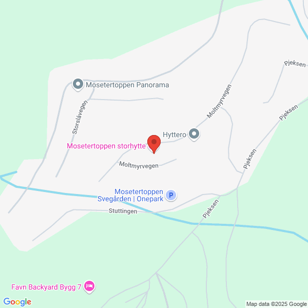 Bilde fra Google Maps, sentrert på adressen
