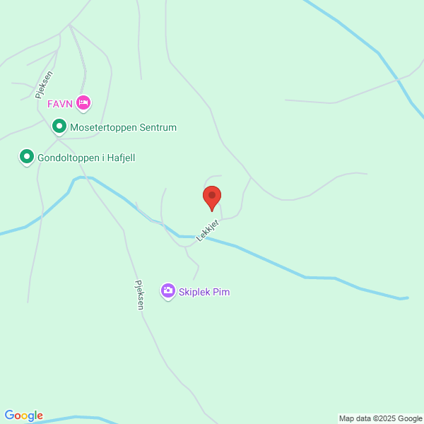 Bilde fra Google Maps, sentrert på adressen