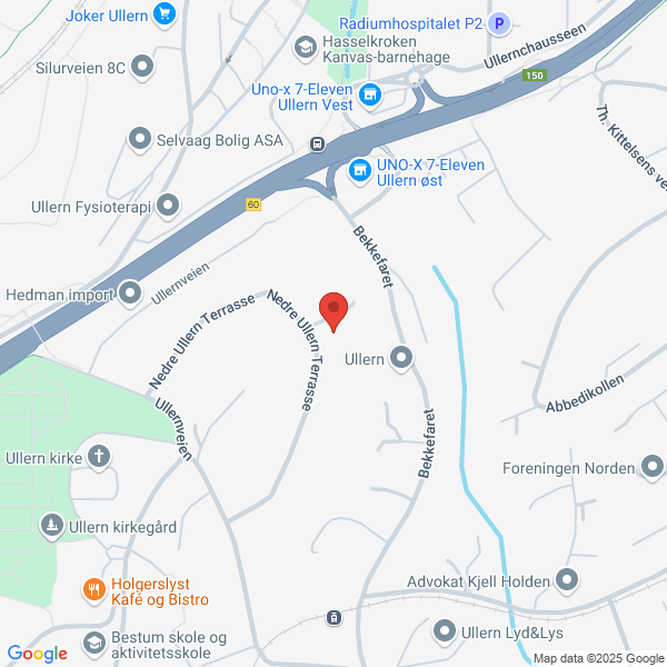 Bilde fra Google Maps, sentrert på adressen
