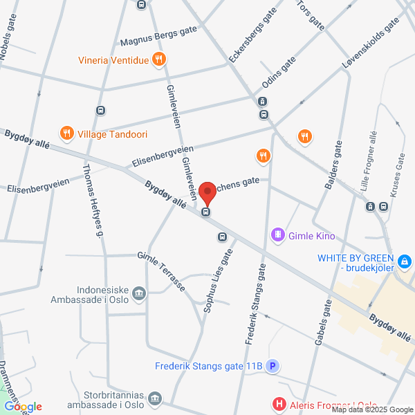 Bilde fra Google Maps, sentrert på adressen