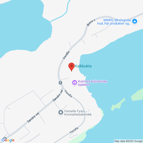 Bilde fra Google Maps, sentrert på adressen