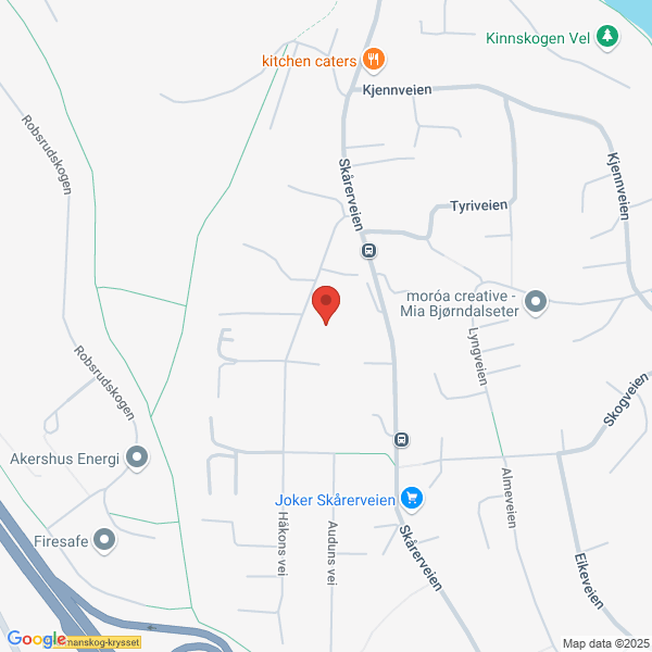 Bilde fra Google Maps, sentrert på adressen