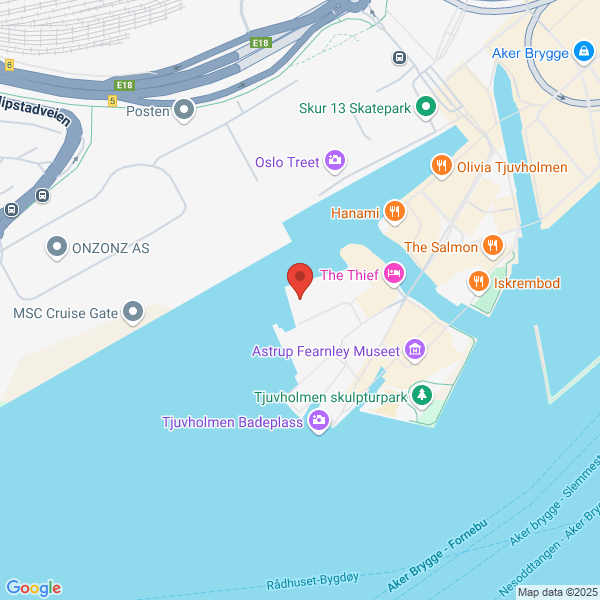 Bilde fra Google Maps, sentrert på adressen