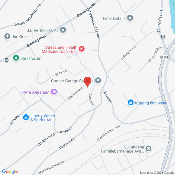 Bilde fra Google Maps, sentrert på adressen