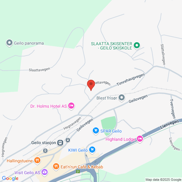 Bilde fra Google Maps, sentrert på adressen