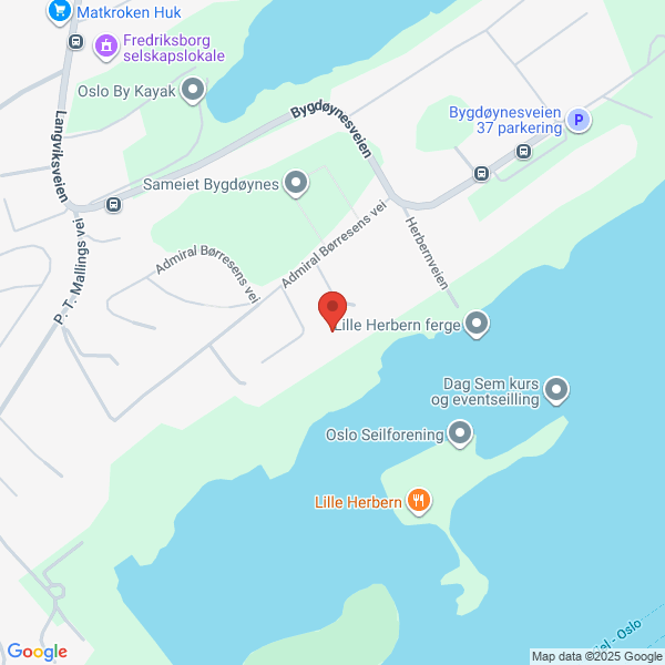 Bilde fra Google Maps, sentrert på adressen