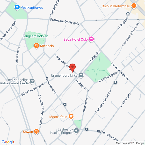 Bilde fra Google Maps, sentrert på adressen