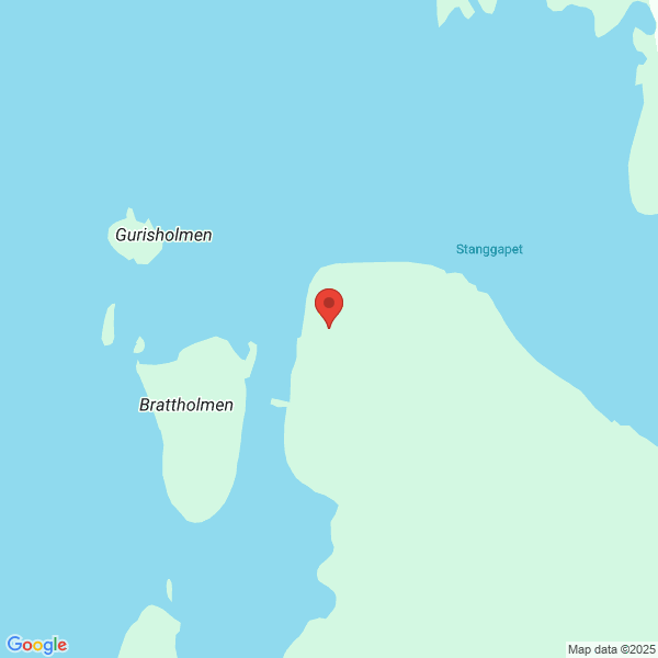 Bilde fra Google Maps, sentrert på adressen