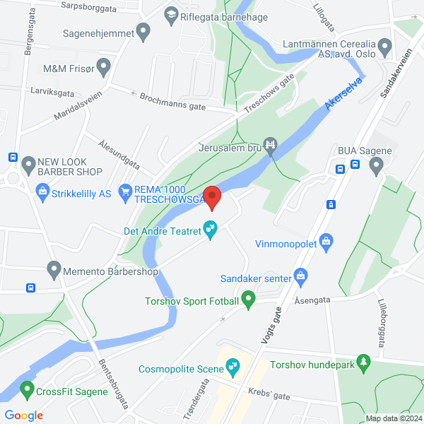 Bilde fra Google Maps, sentrert på adressen