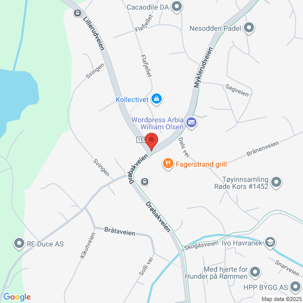 Bilde fra Google Maps, sentrert på adressen
