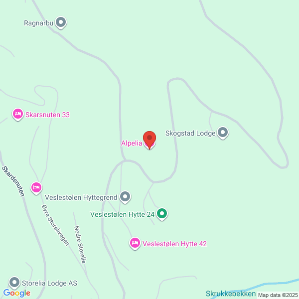 Bilde fra Google Maps, sentrert på adressen