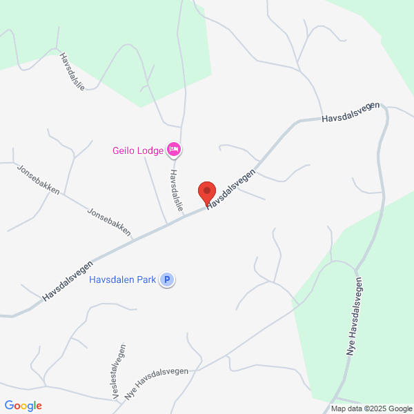 Bilde fra Google Maps, sentrert på adressen
